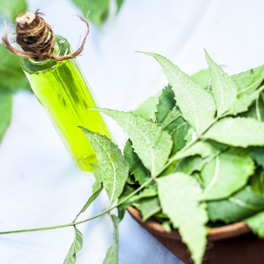 Neem Oil - Virgin Cold Pressed
