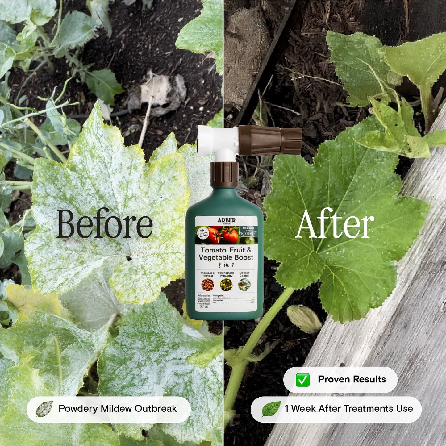 Organic Tomato, Fruit & Vegetable Boost