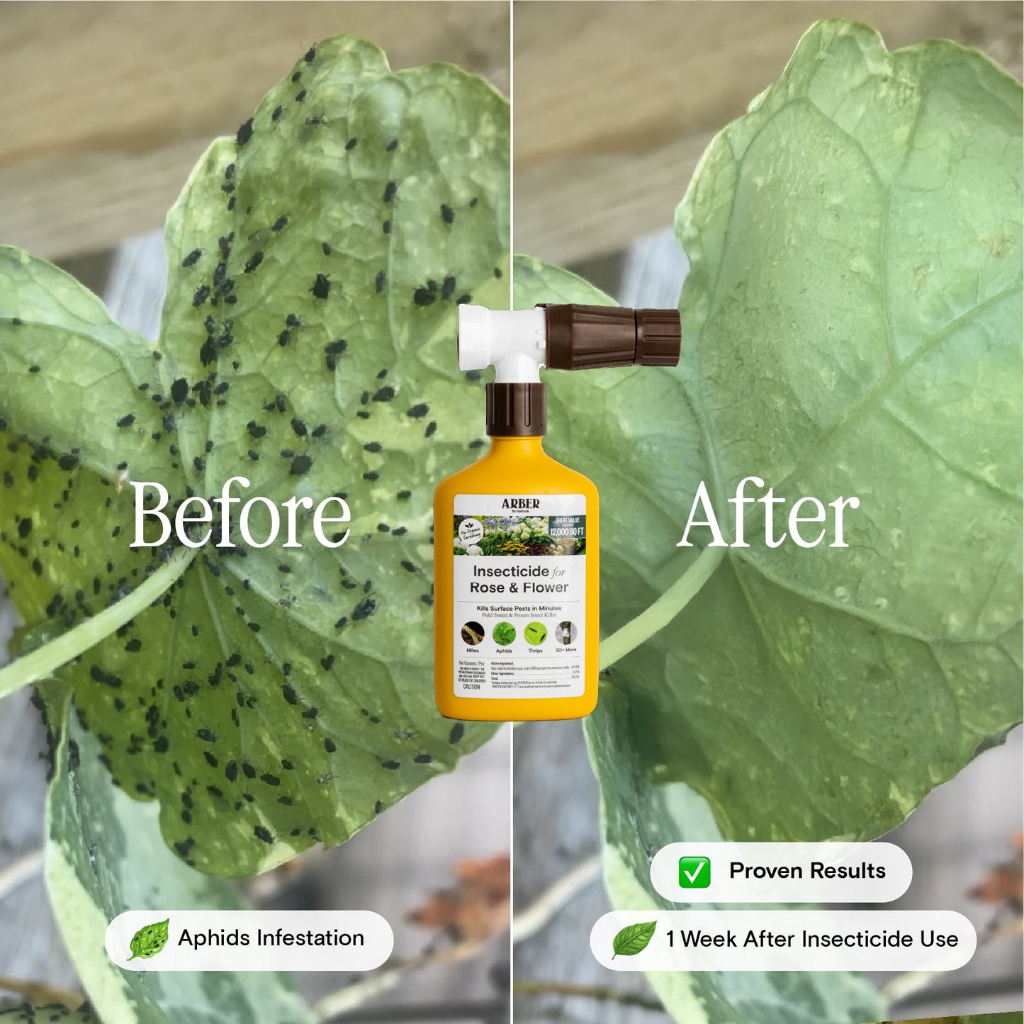 Organic Insecticide for Rose & Flower