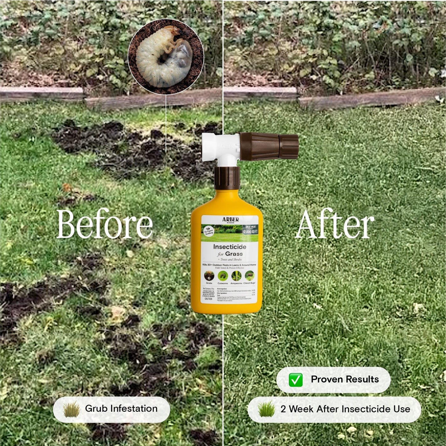 Organic Insecticide for Grass, Trees & Shrubs