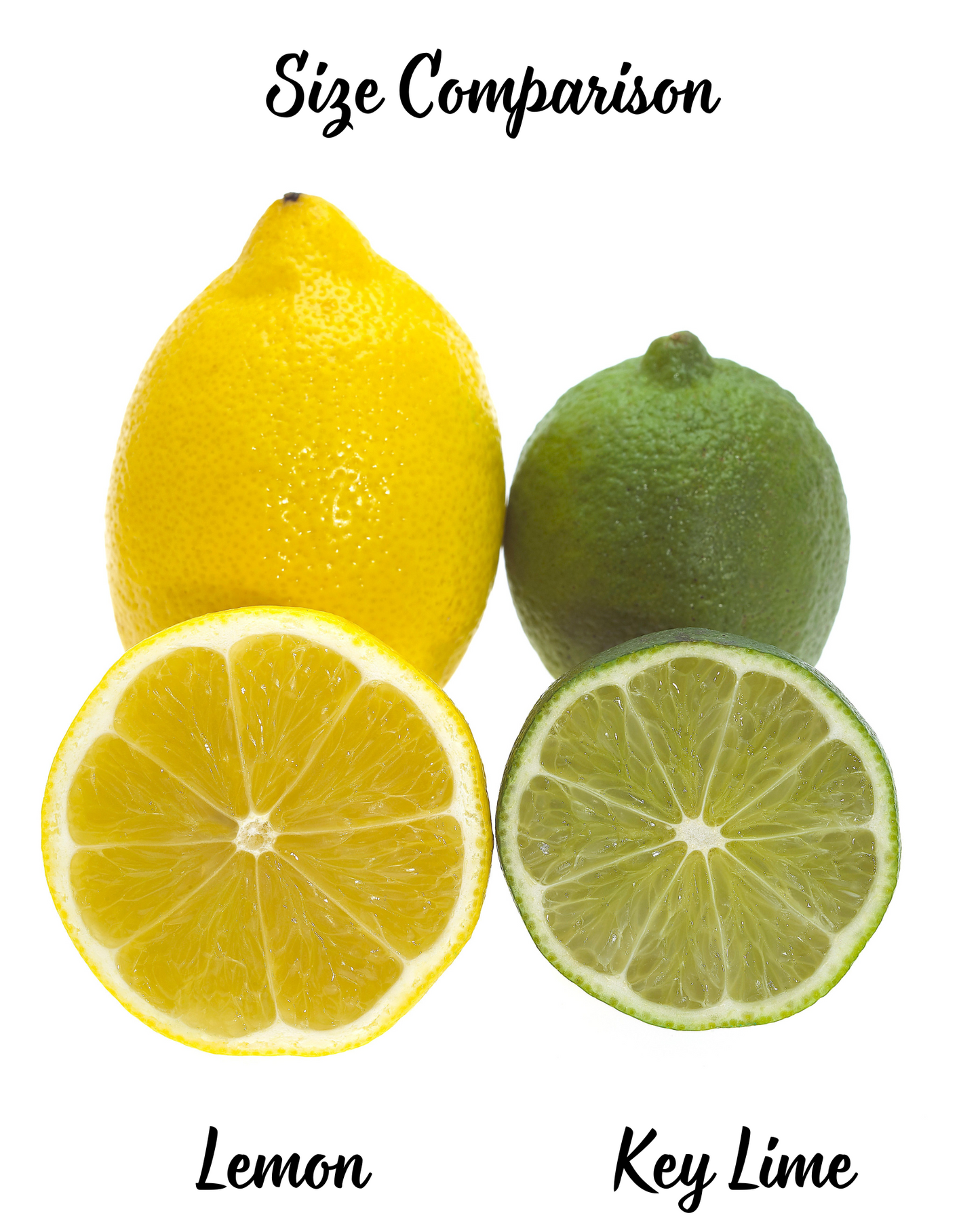 15 KEY LIME Citrus Aurantifolia Fruit Tree Shrub Seeds