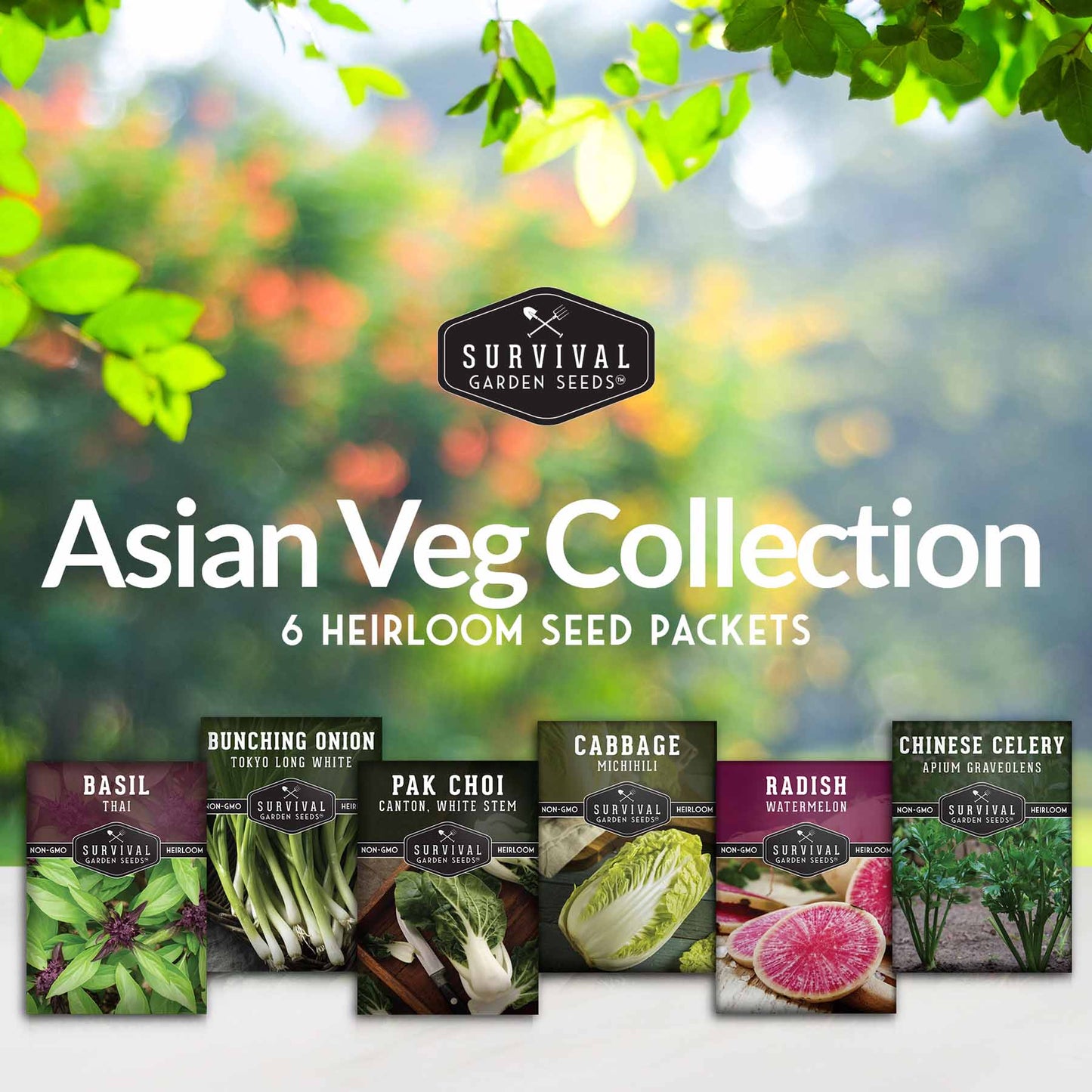 Asian Vegetable Seed Collection - 6 Vegetables for Asian Cuisine