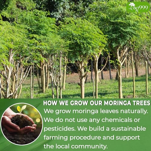 Turmeric Ginger Cinnamon & Moringa Leaf Herbal Tea Bags