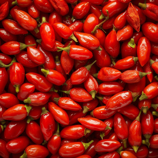 Fermented Turmeric & Fermented Barberry Powder Capsules