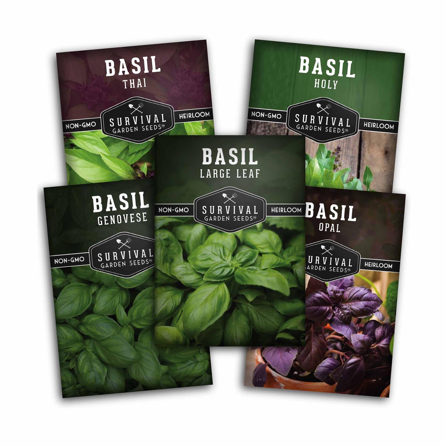 Basil Seed Collection - 5 Colorful and Tasty Varieties of Basil