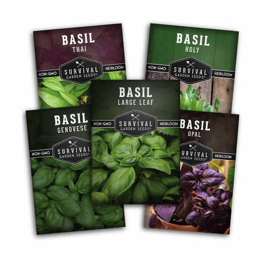 Basil Seed Collection - 5 Colorful and Tasty Varieties of Basil