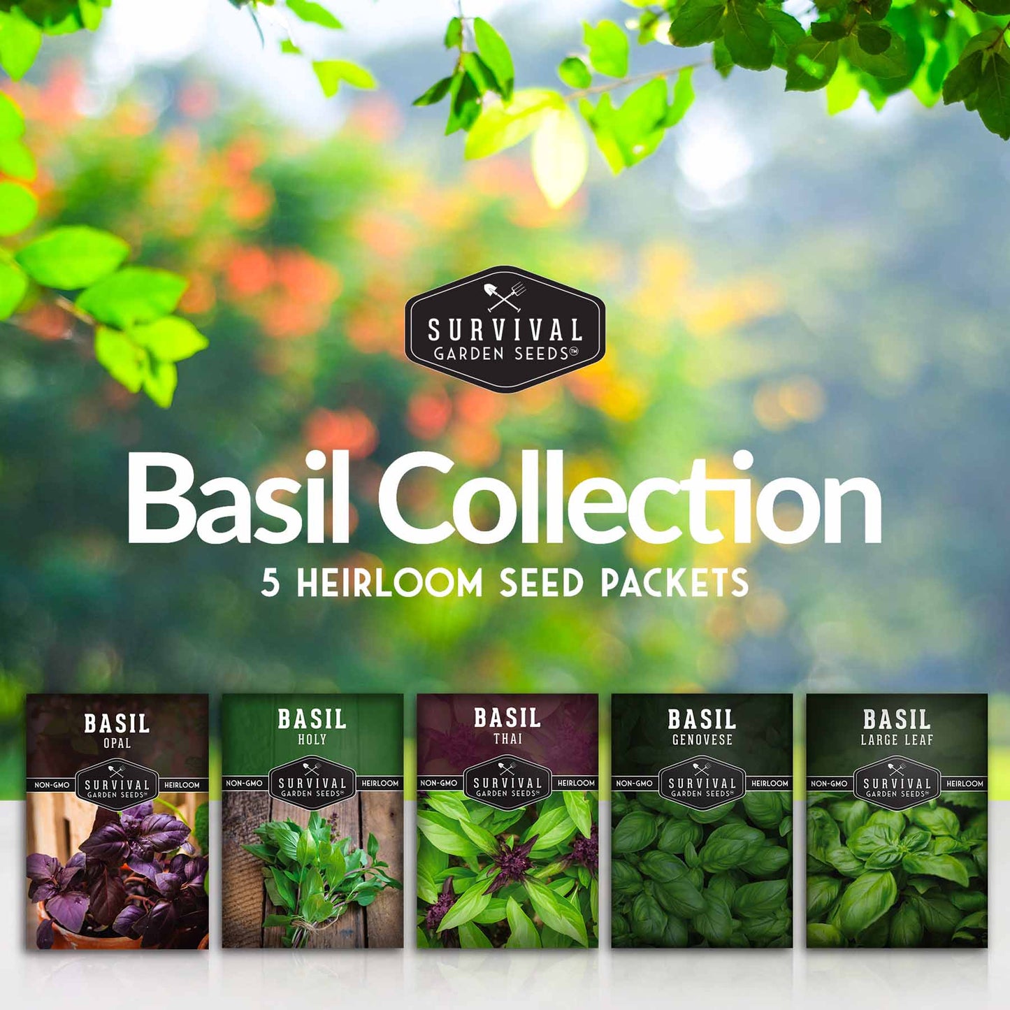 Basil Seed Collection - 5 Colorful and Tasty Varieties of Basil