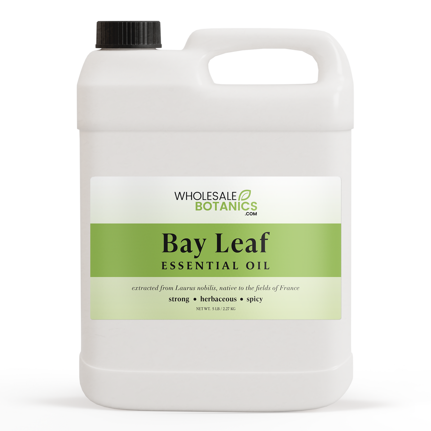 Bay Leaf Essential Oil