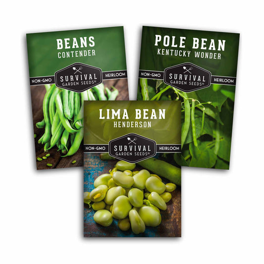 Bean Seed Collection - 3 Prolific Varieties