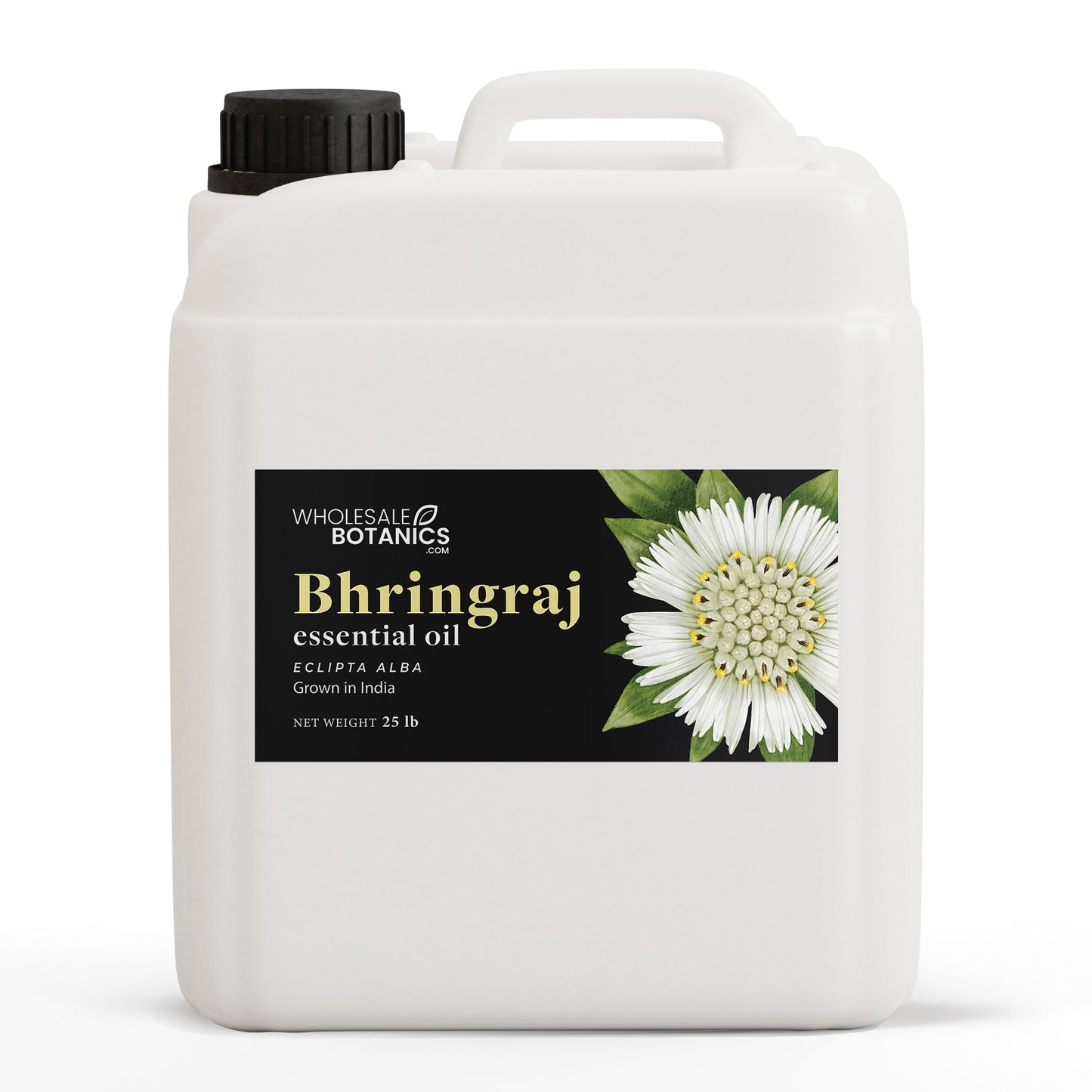 Bhringraj Oil