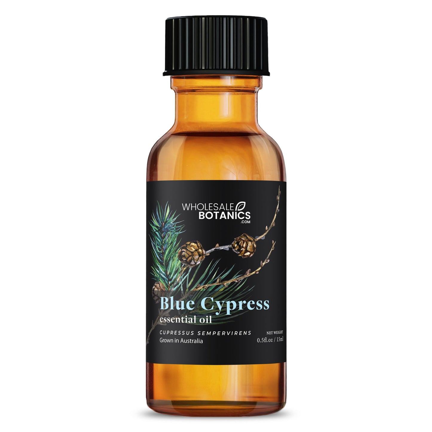 Blue Cypress Essential Oil