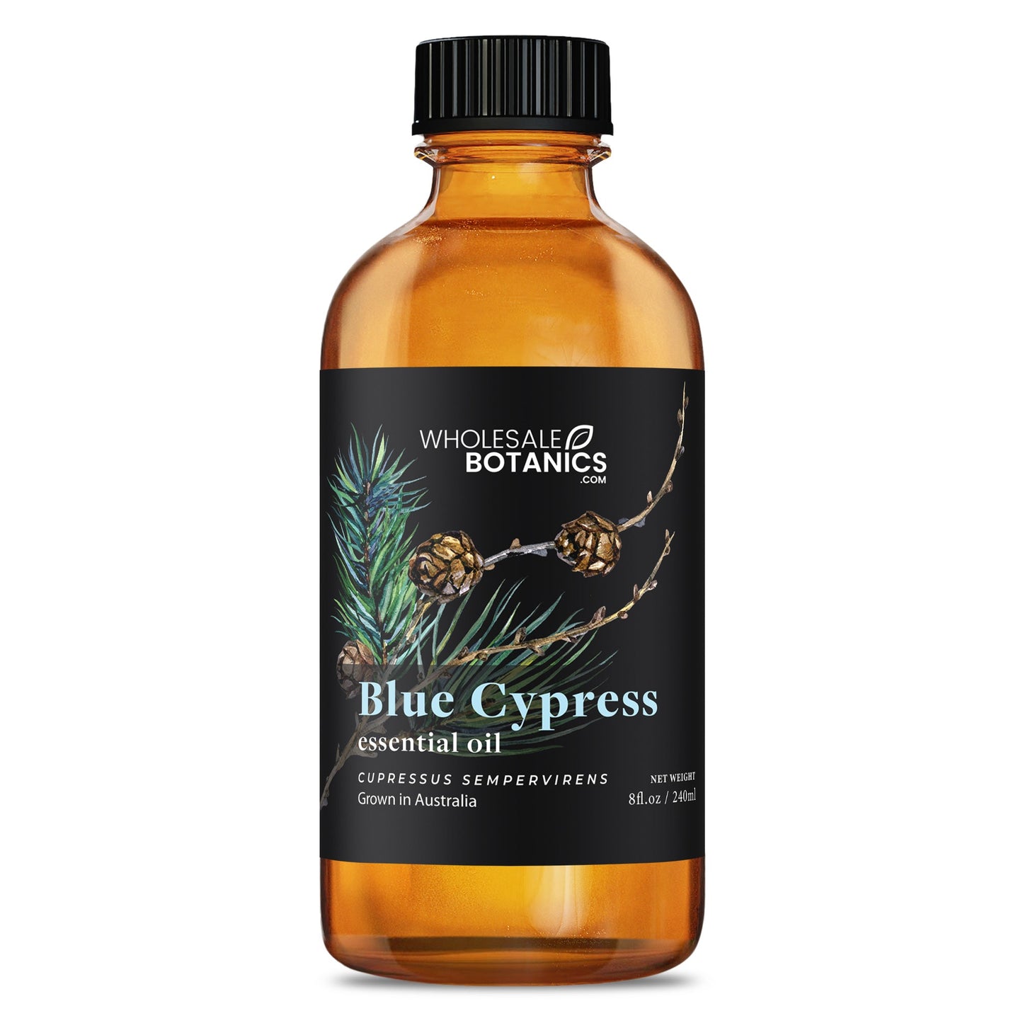 Blue Cypress Essential Oil