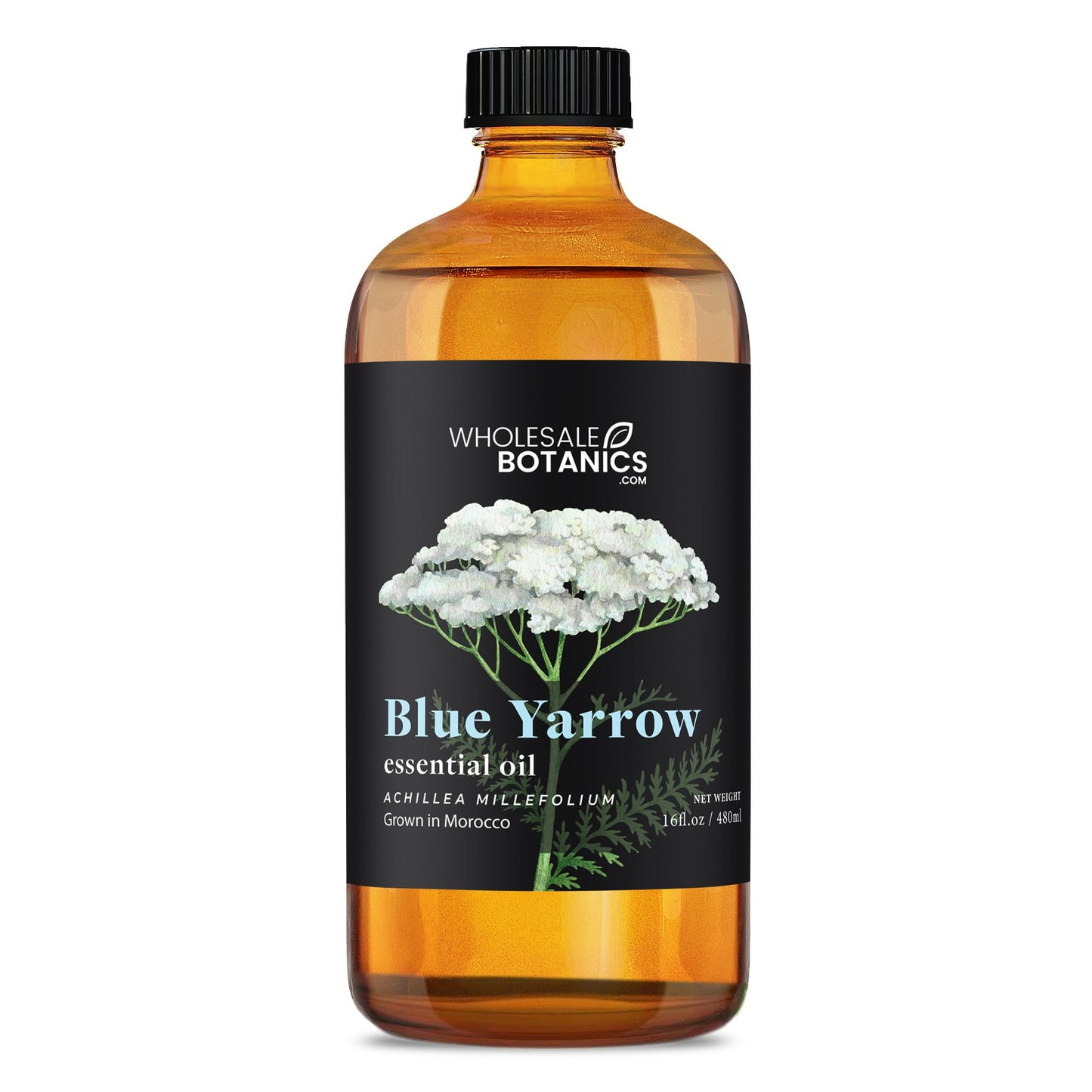 Blue Yarrow Essential Oil