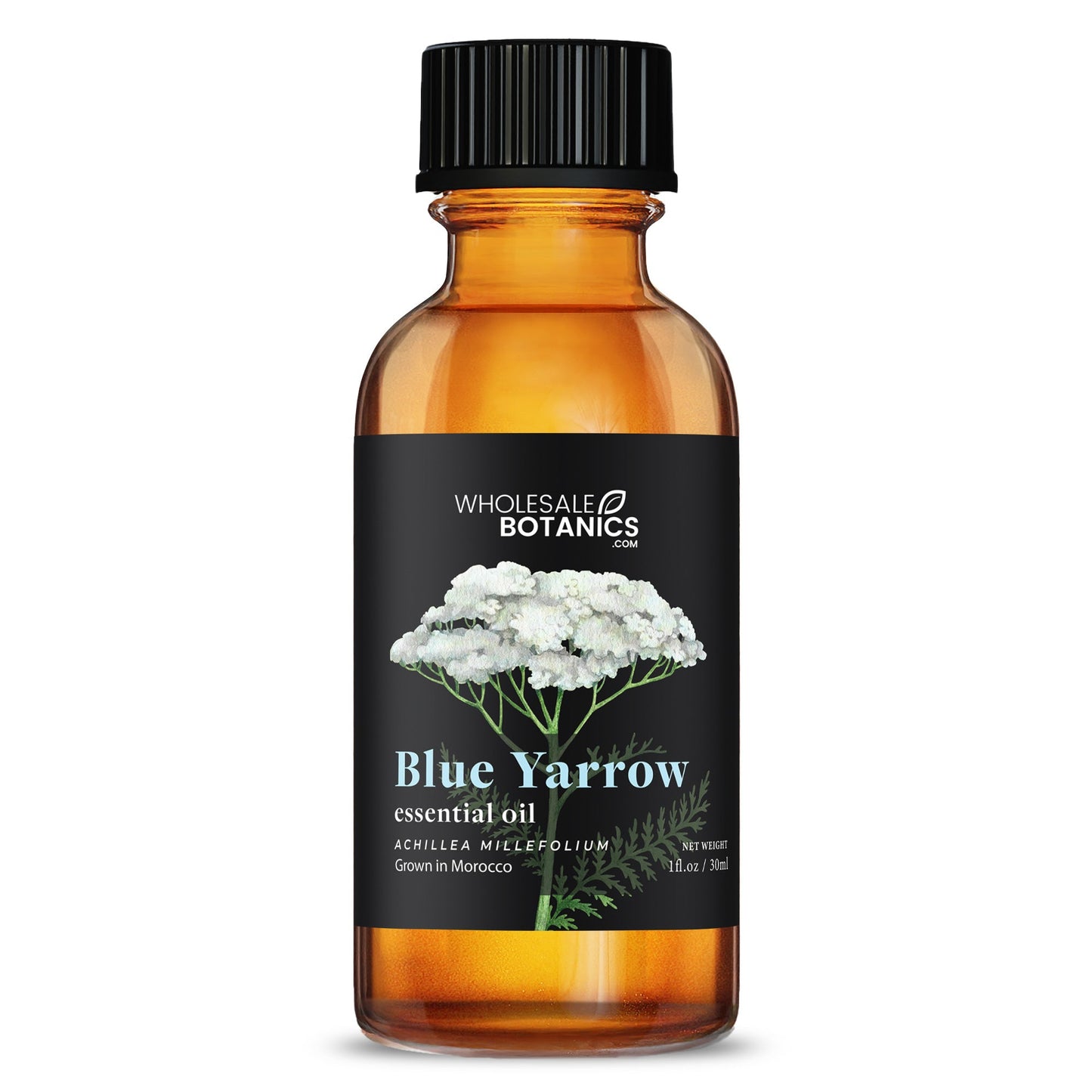 Blue Yarrow Essential Oil
