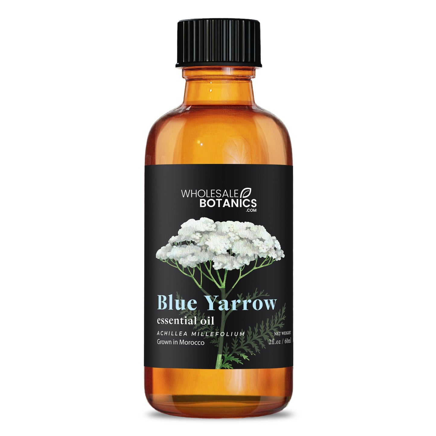 Blue Yarrow Essential Oil