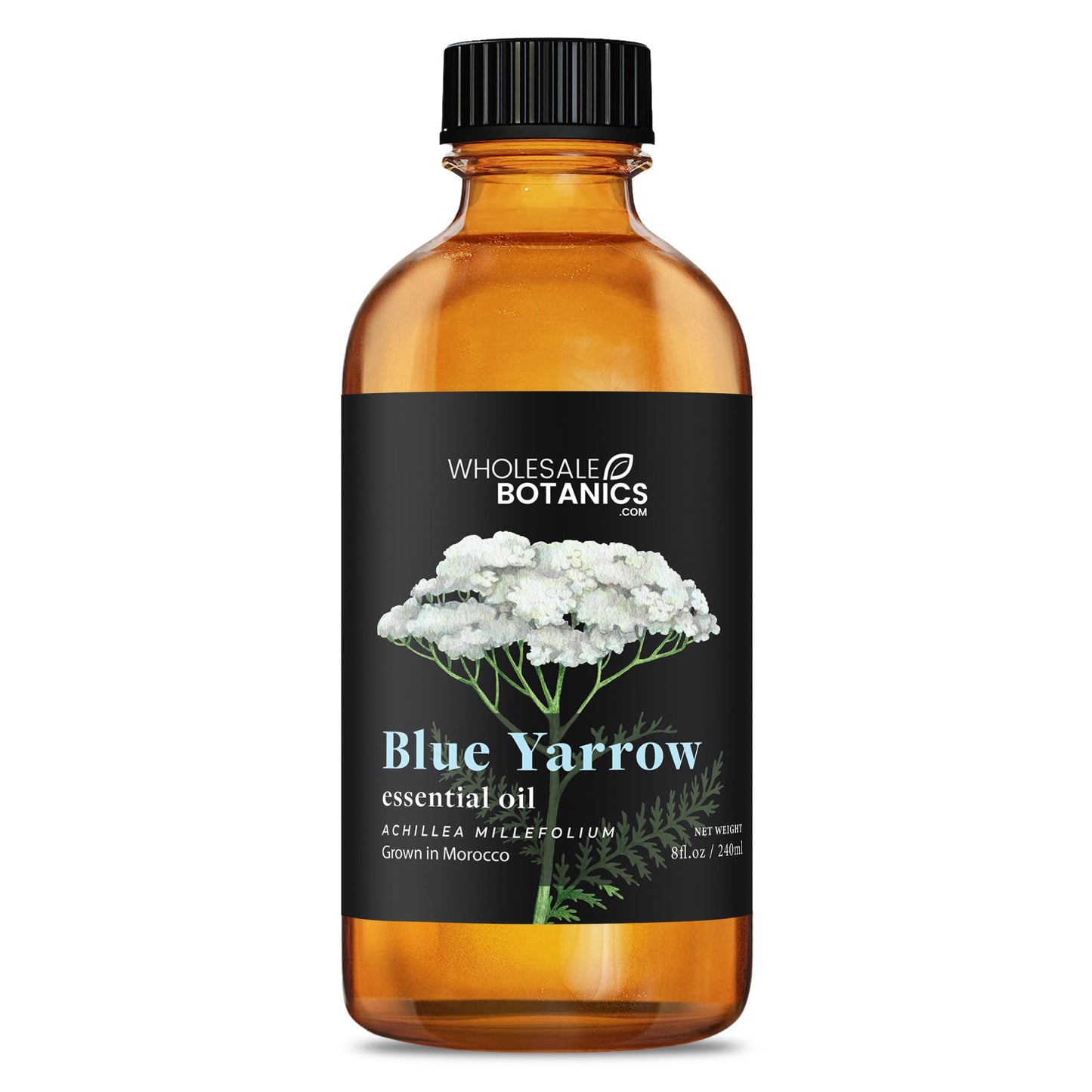 Blue Yarrow Essential Oil