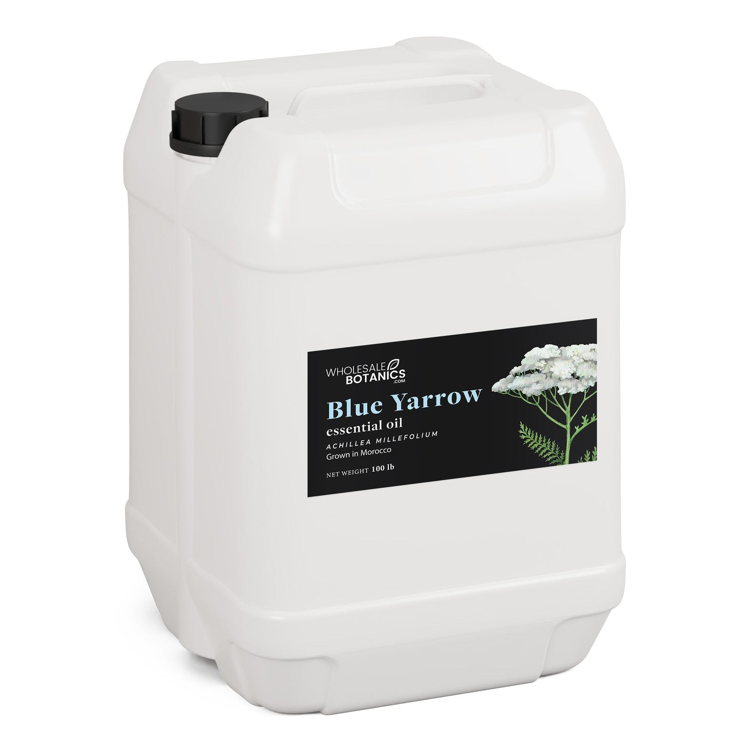 Blue Yarrow Essential Oil