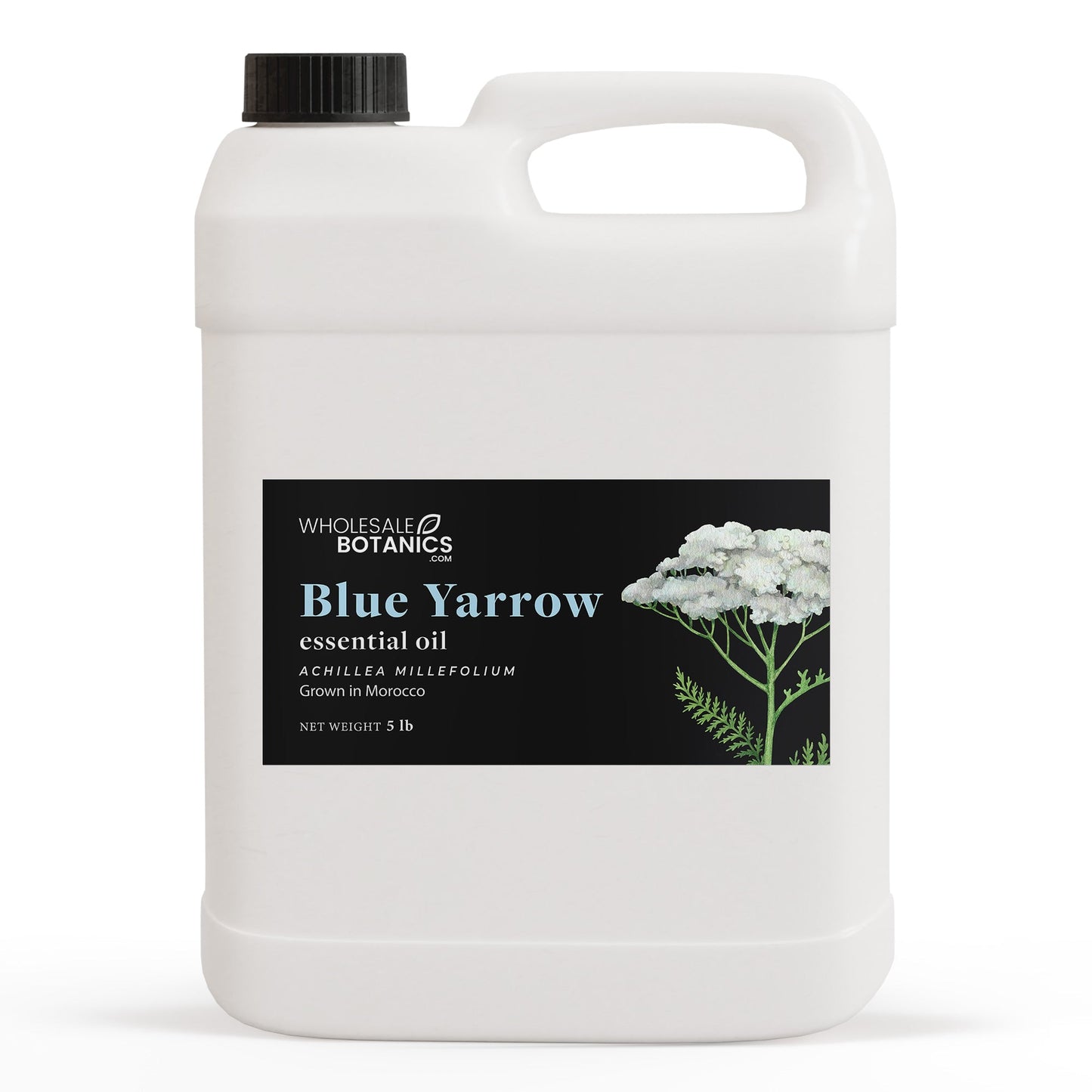 Blue Yarrow Essential Oil