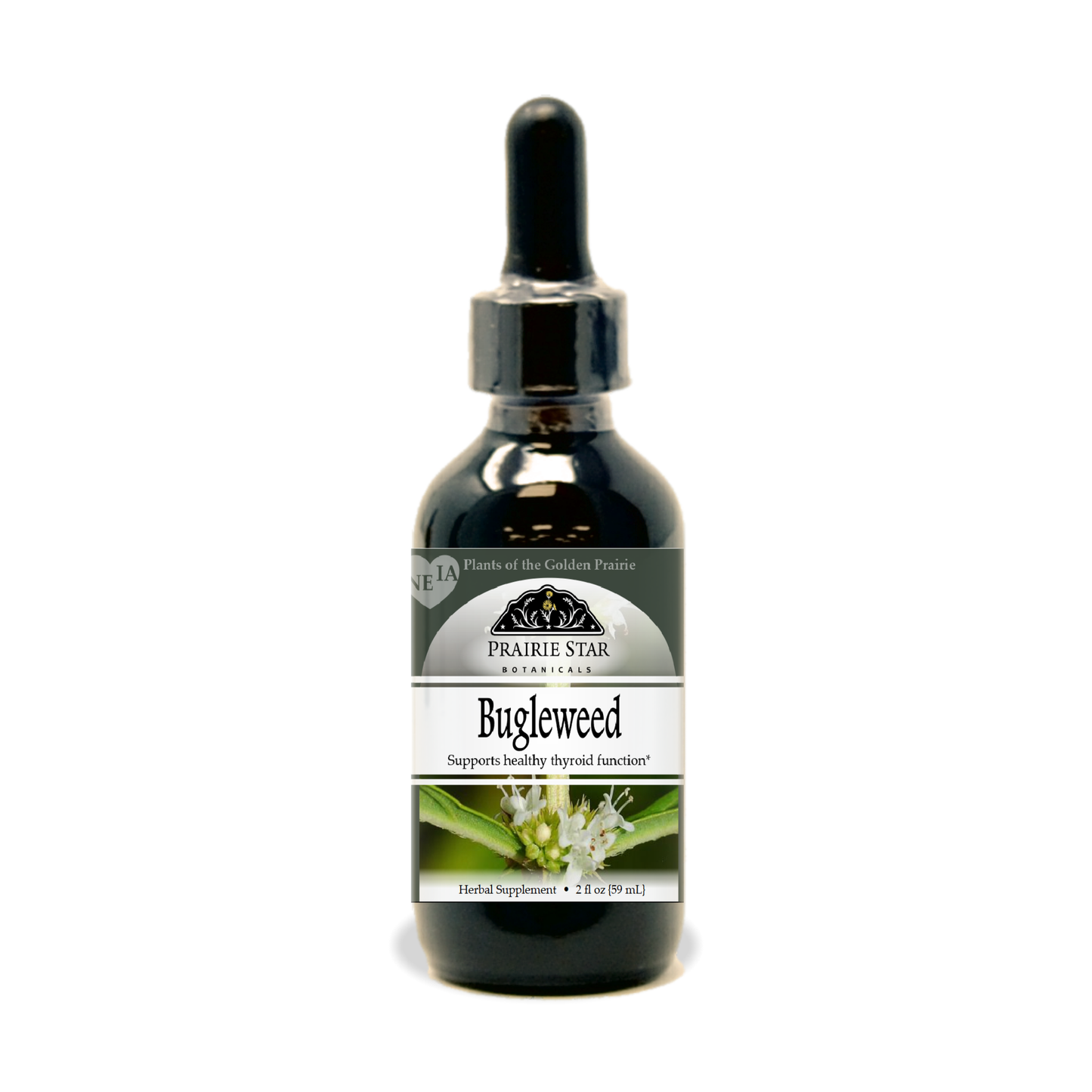 Bugleweed