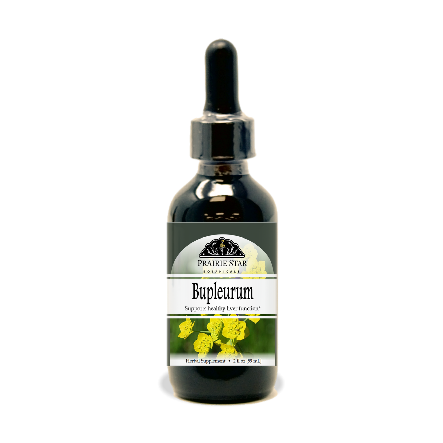 Bupleurum
