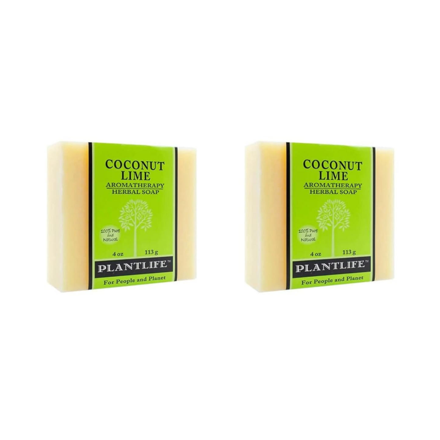 Coconut Lime Bar Soap