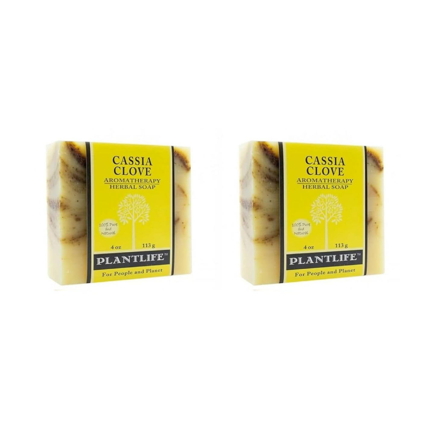 Cassia Clove Bar Soap