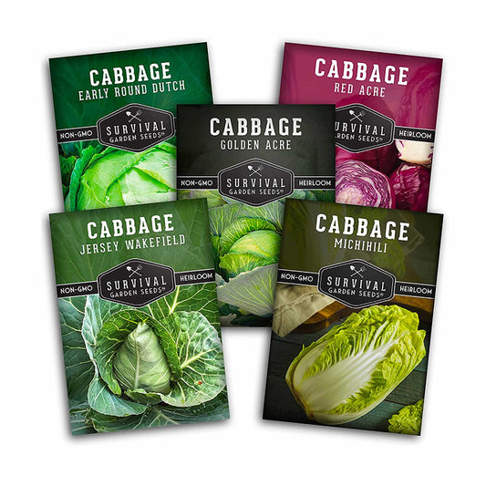 Cabbage Seed Collection - Red Acre, Golden Acres, Jersey Wakefield, Early Round Dutch & Michihili (Napa)