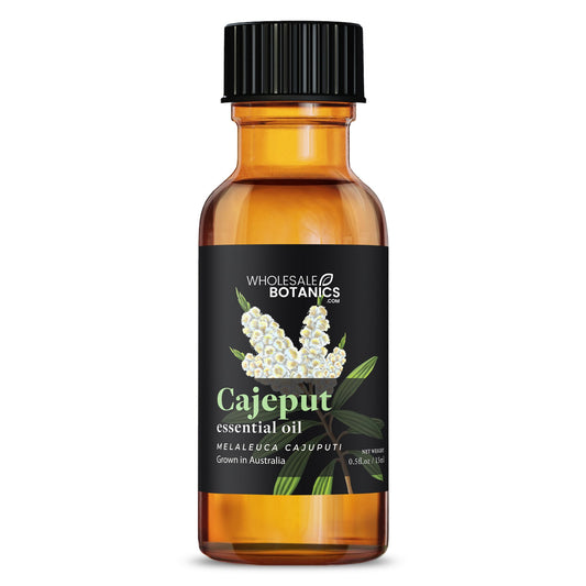 Cajeput Essential Oil