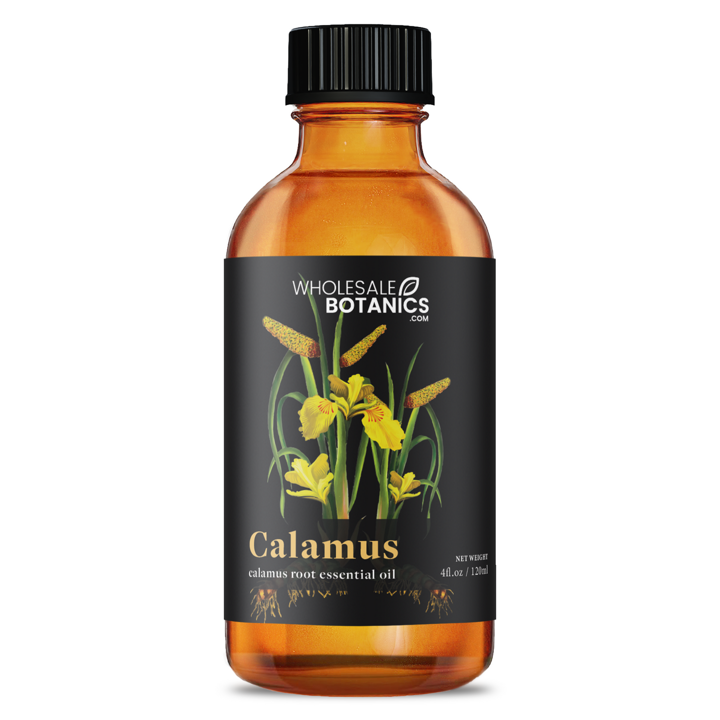 Calamus Essential Oil