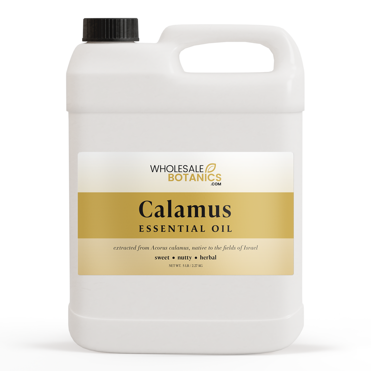 Calamus Essential Oil