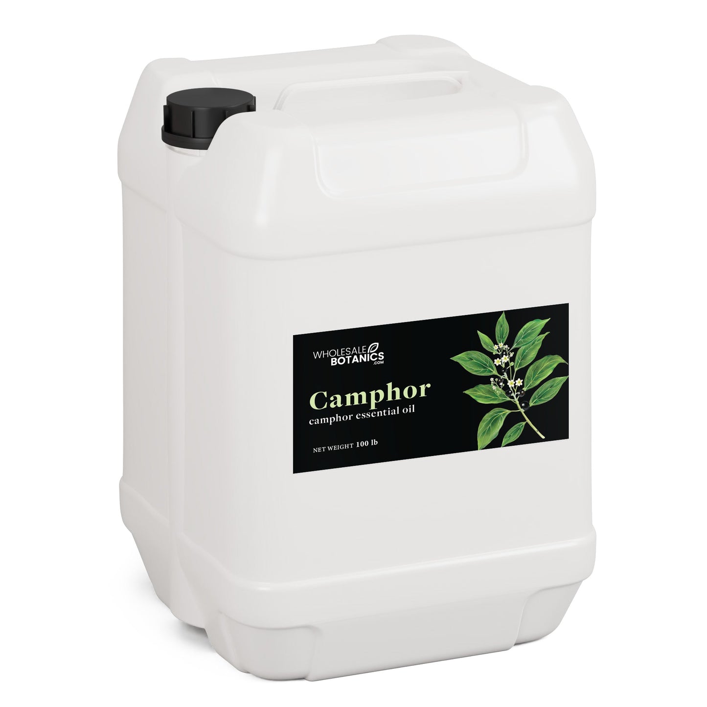 Camphor Essential Oil