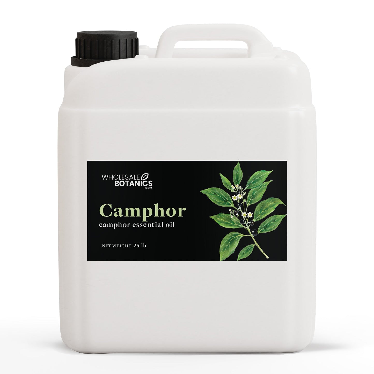 Camphor Essential Oil