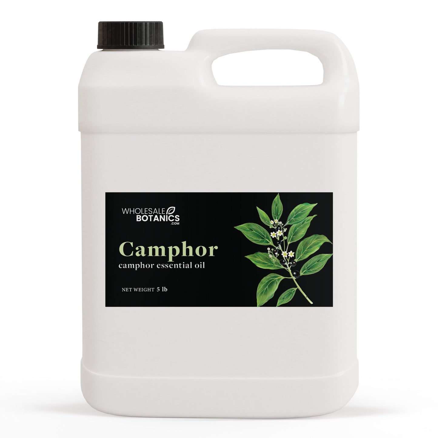 Camphor Essential Oil