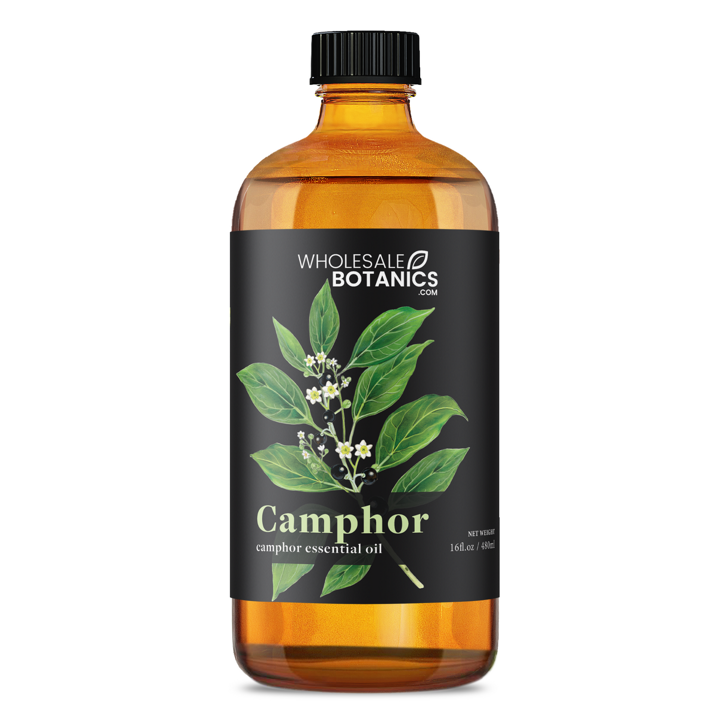 Camphor Essential Oil