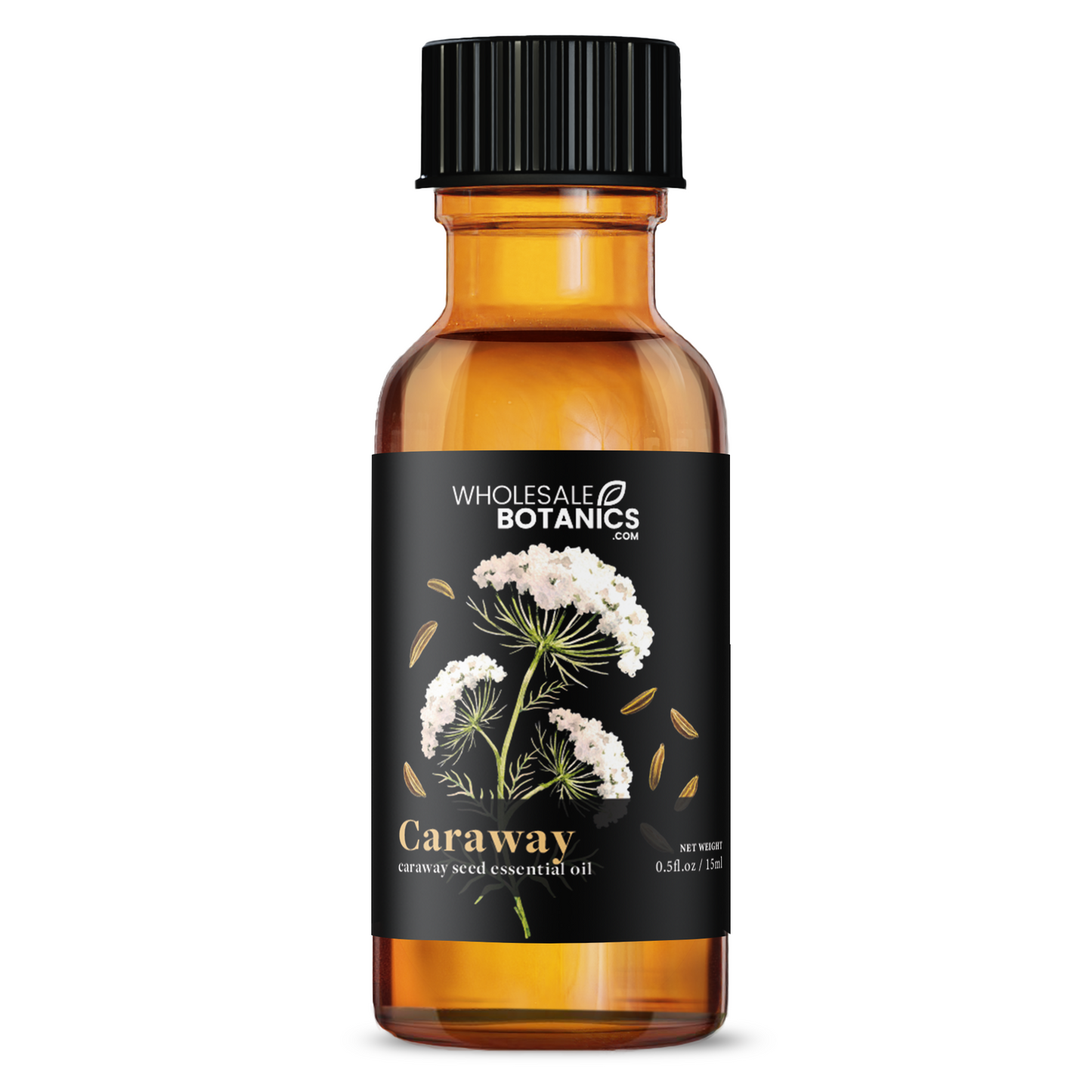 Caraway Essential Oil