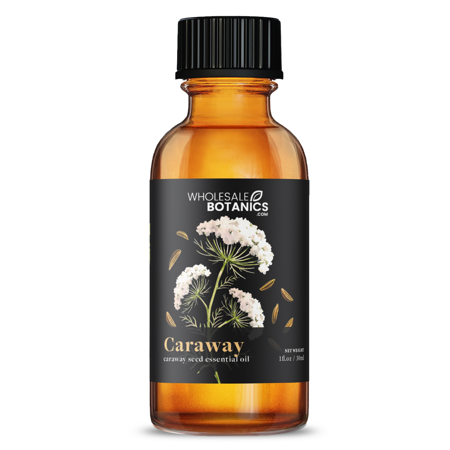 Caraway Essential Oil