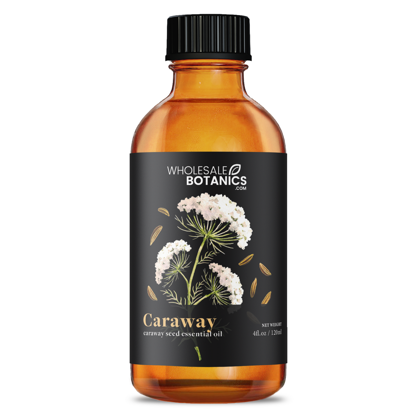 Caraway Essential Oil