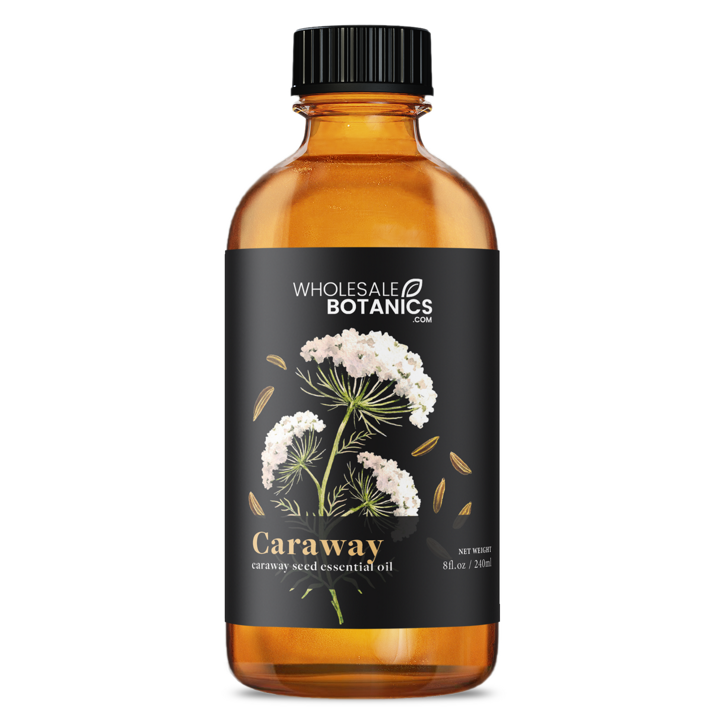 Caraway Essential Oil