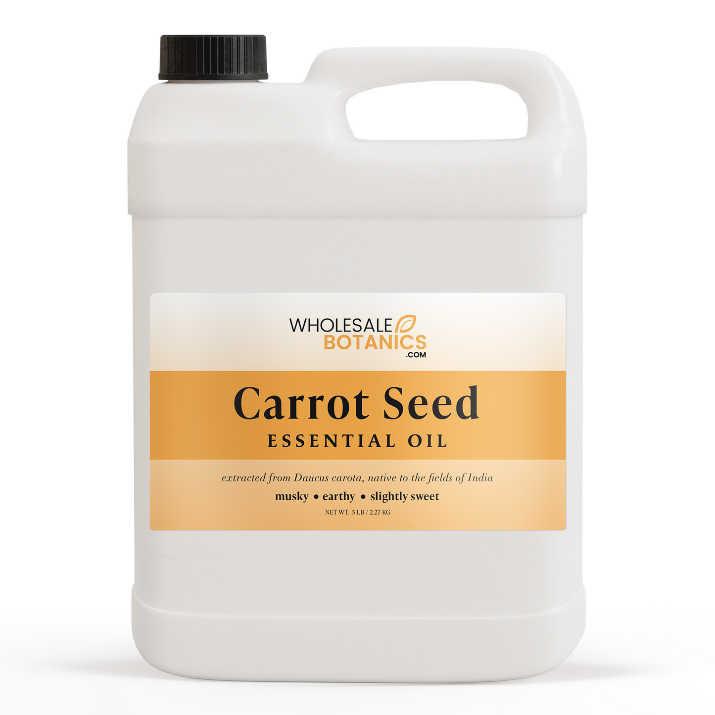 Carrot Seed Essential Oil