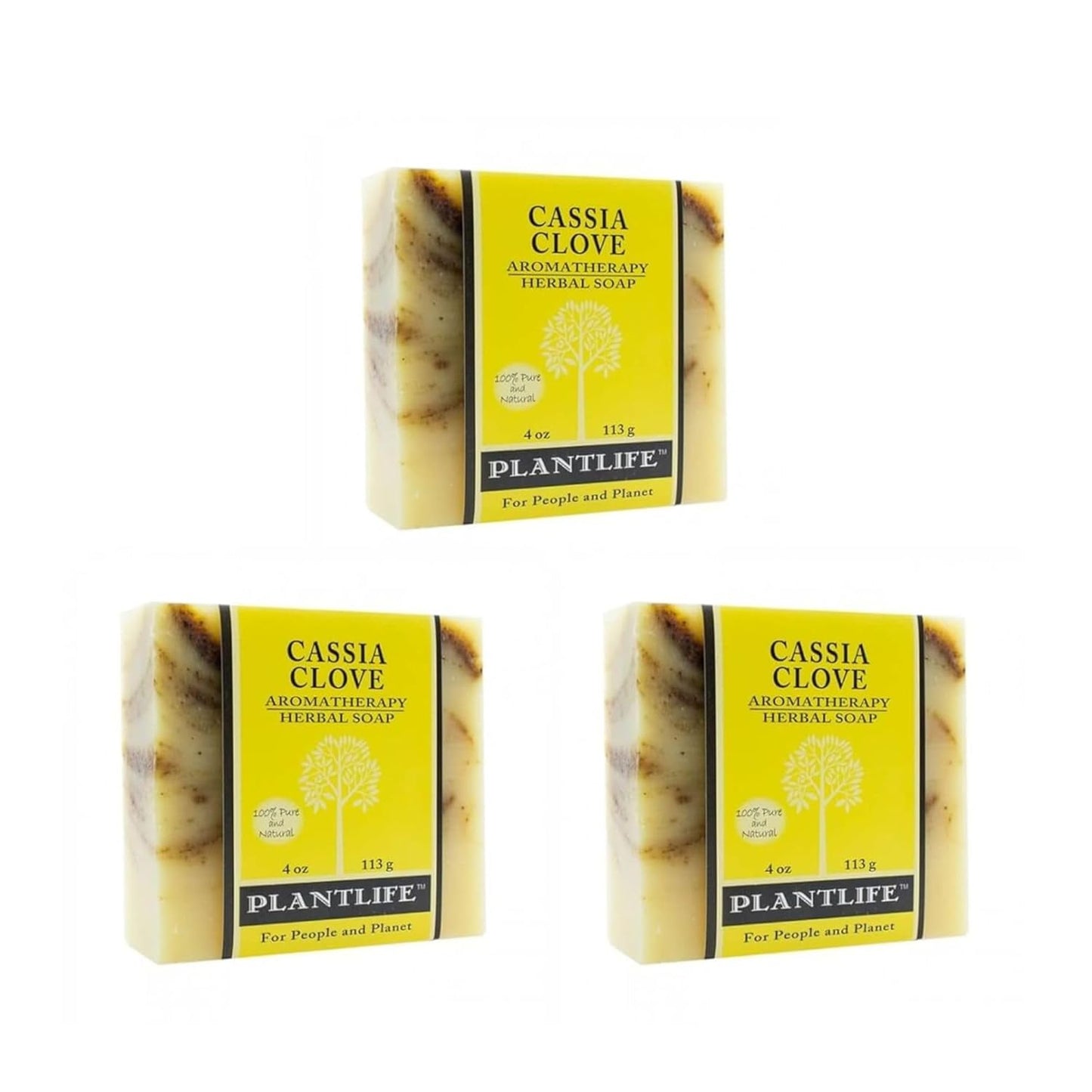 Cassia Clove Bar Soap
