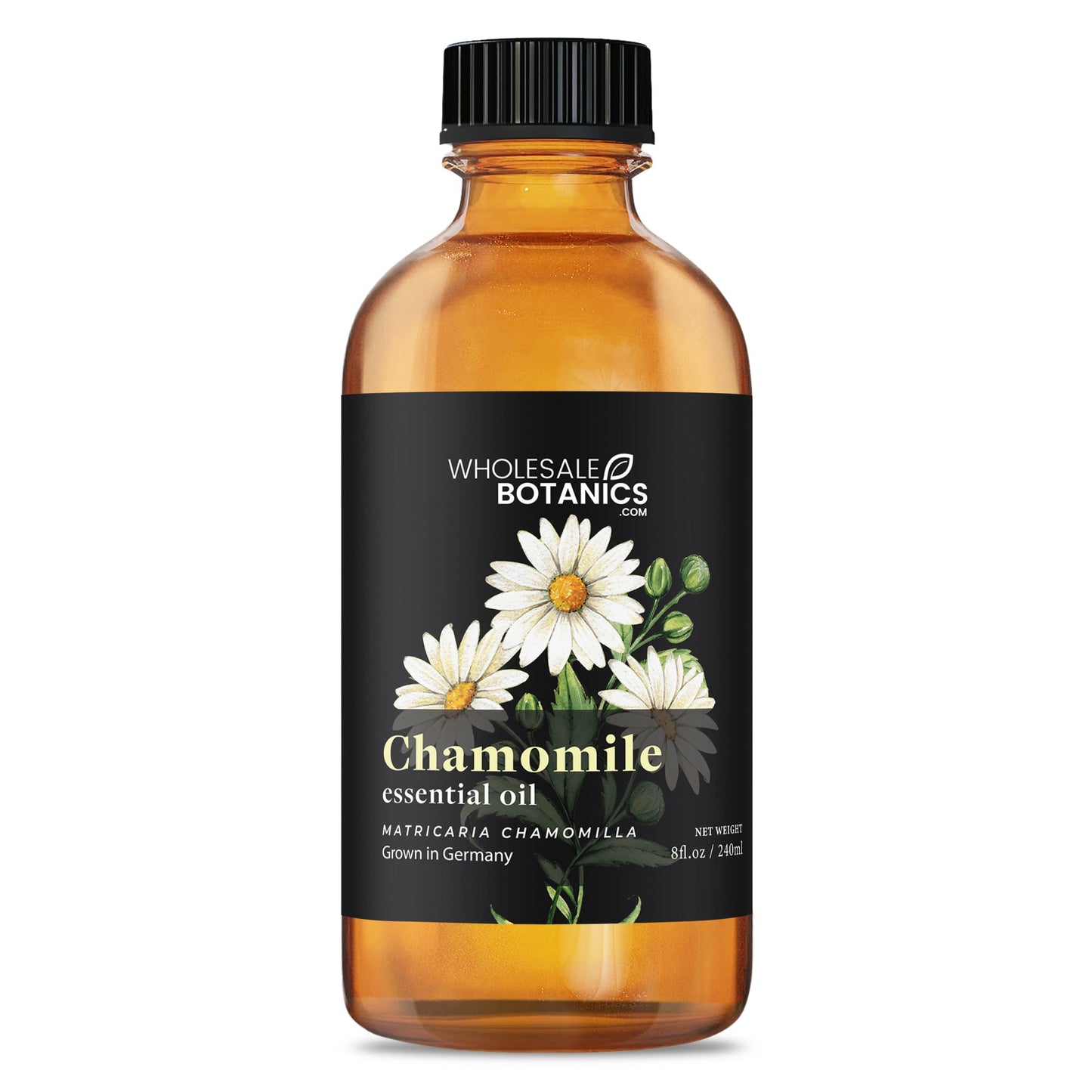 Chamomile Essential Oil