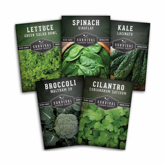 Cool Weather Vegetable Seed Collection - Spinach, Kale, Cilantro, Broccoli, and Leaf Lettuce