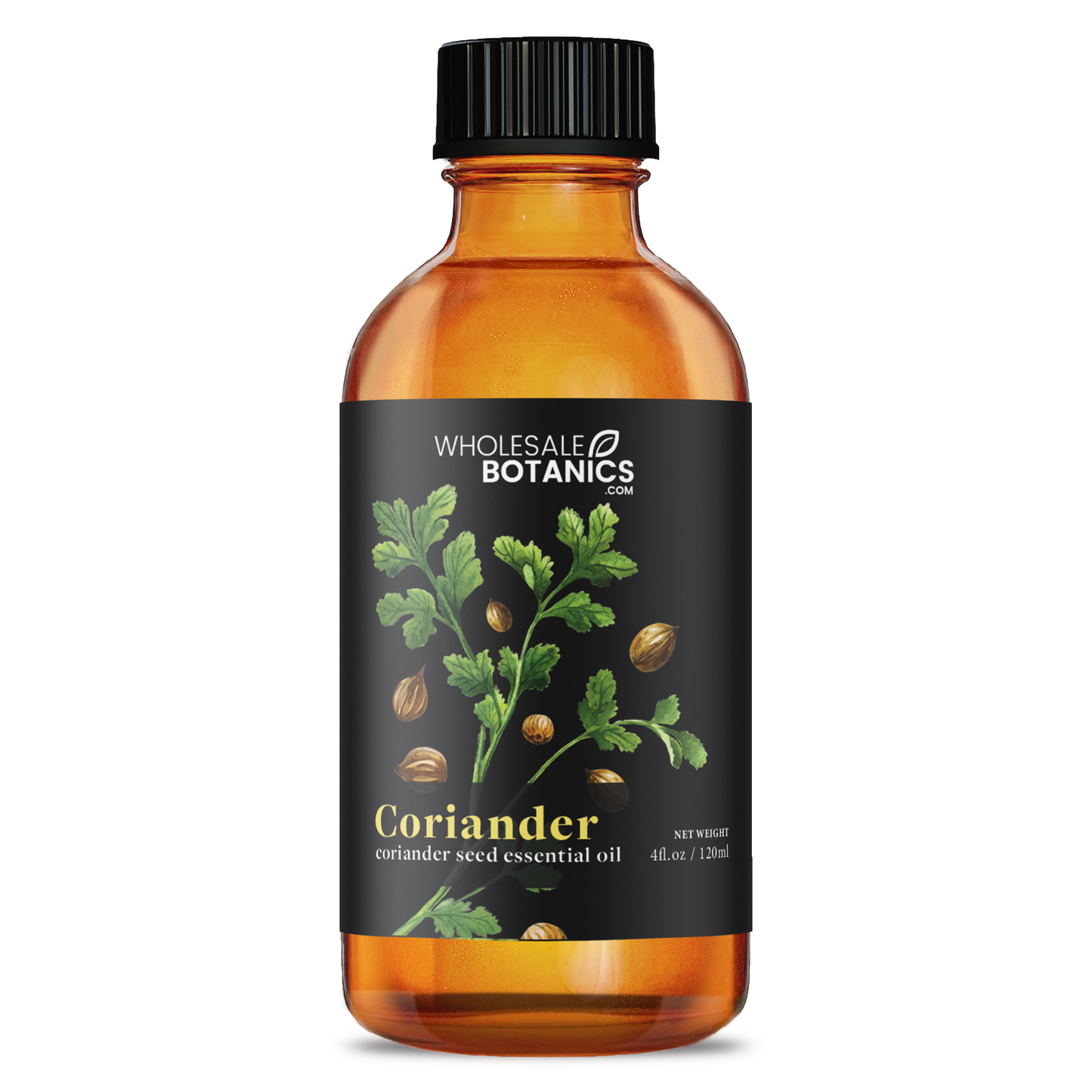 Coriander Essential Oil