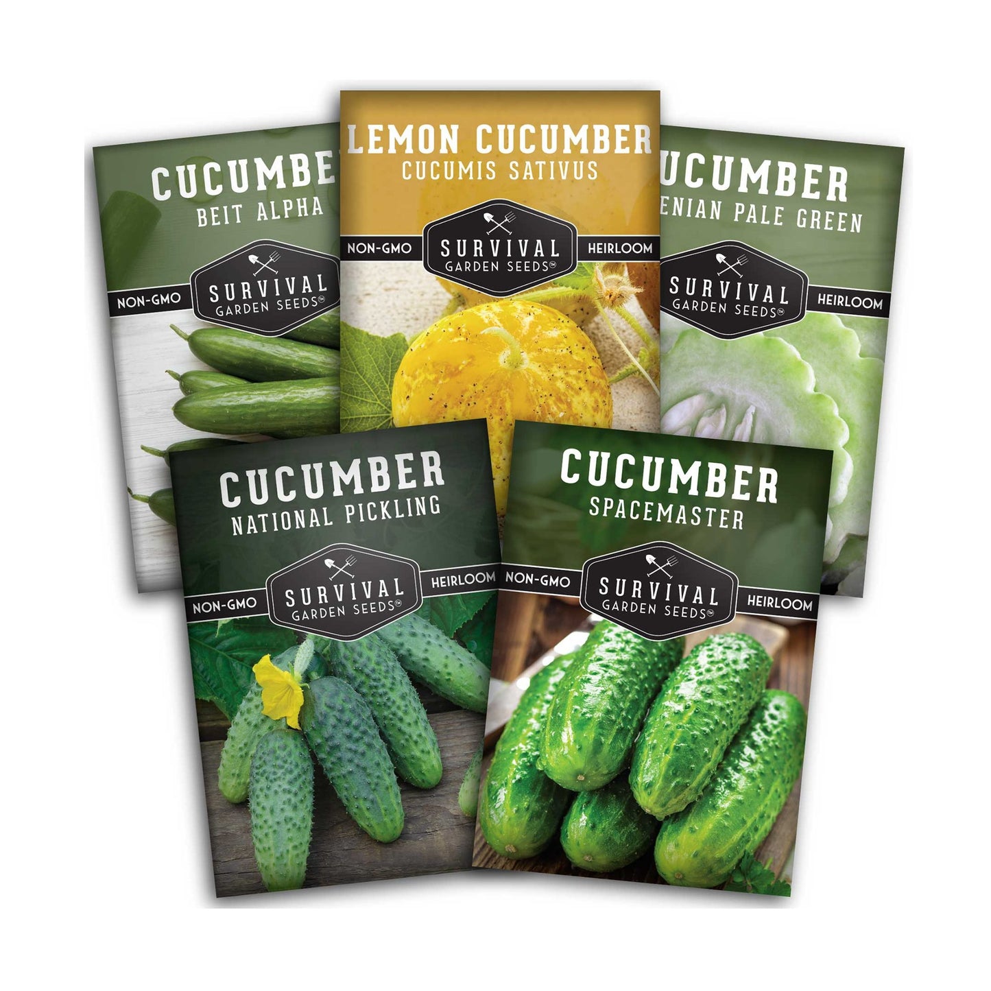 Cucumber Collection - Armenian, Beit Alpha, Lemon, National Pickling, & Spacemaster