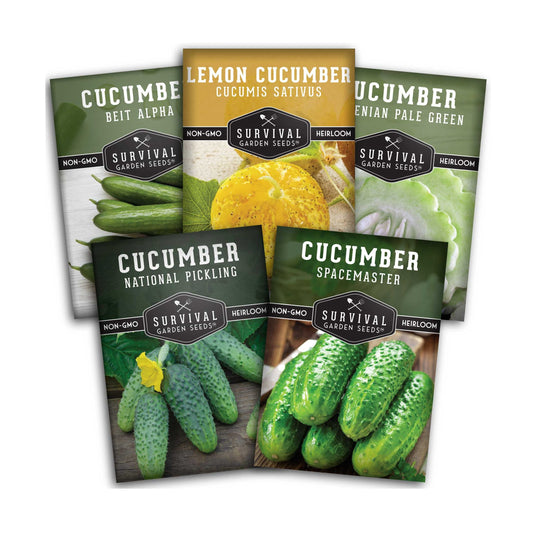 Cucumber Collection - Armenian, Beit Alpha, Lemon, National Pickling, & Spacemaster