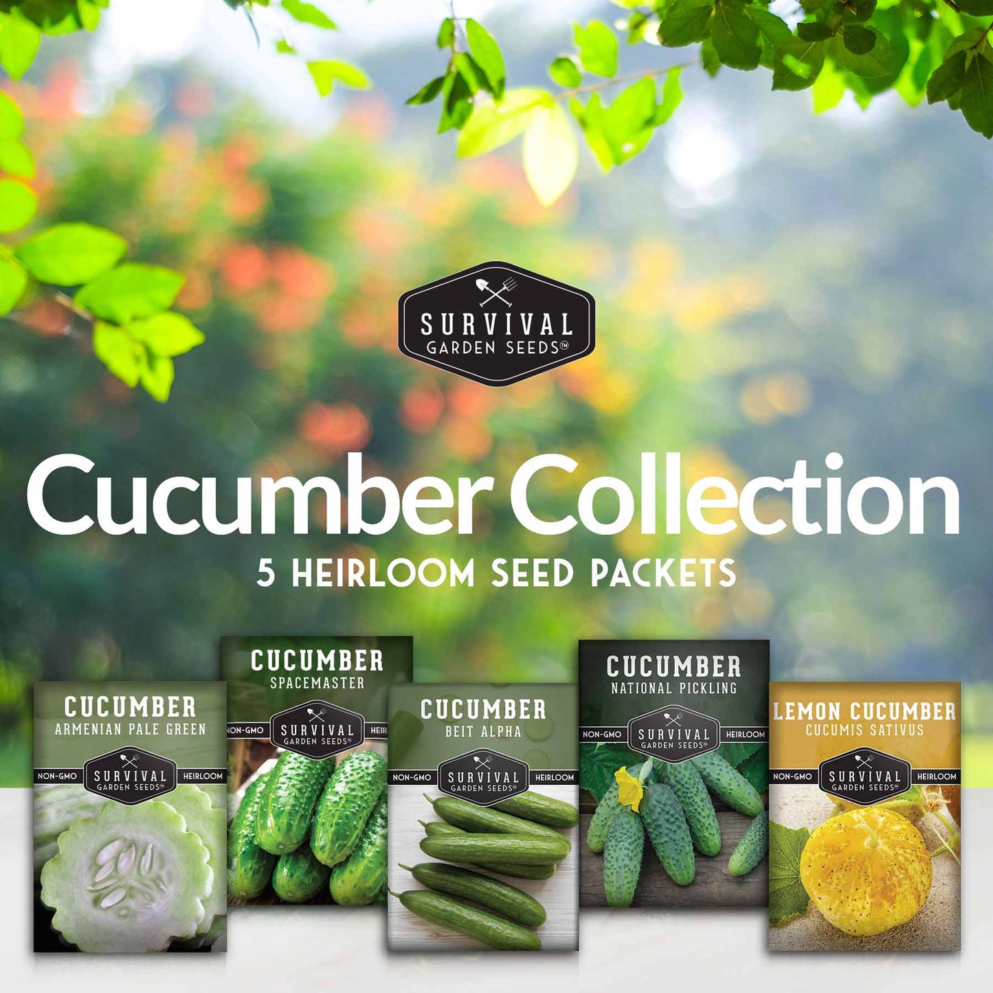 Cucumber Collection - Armenian, Beit Alpha, Lemon, National Pickling, & Spacemaster