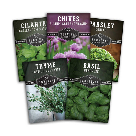 Culinary Herb Seed Collection - 5 Classic Culinary Herbs