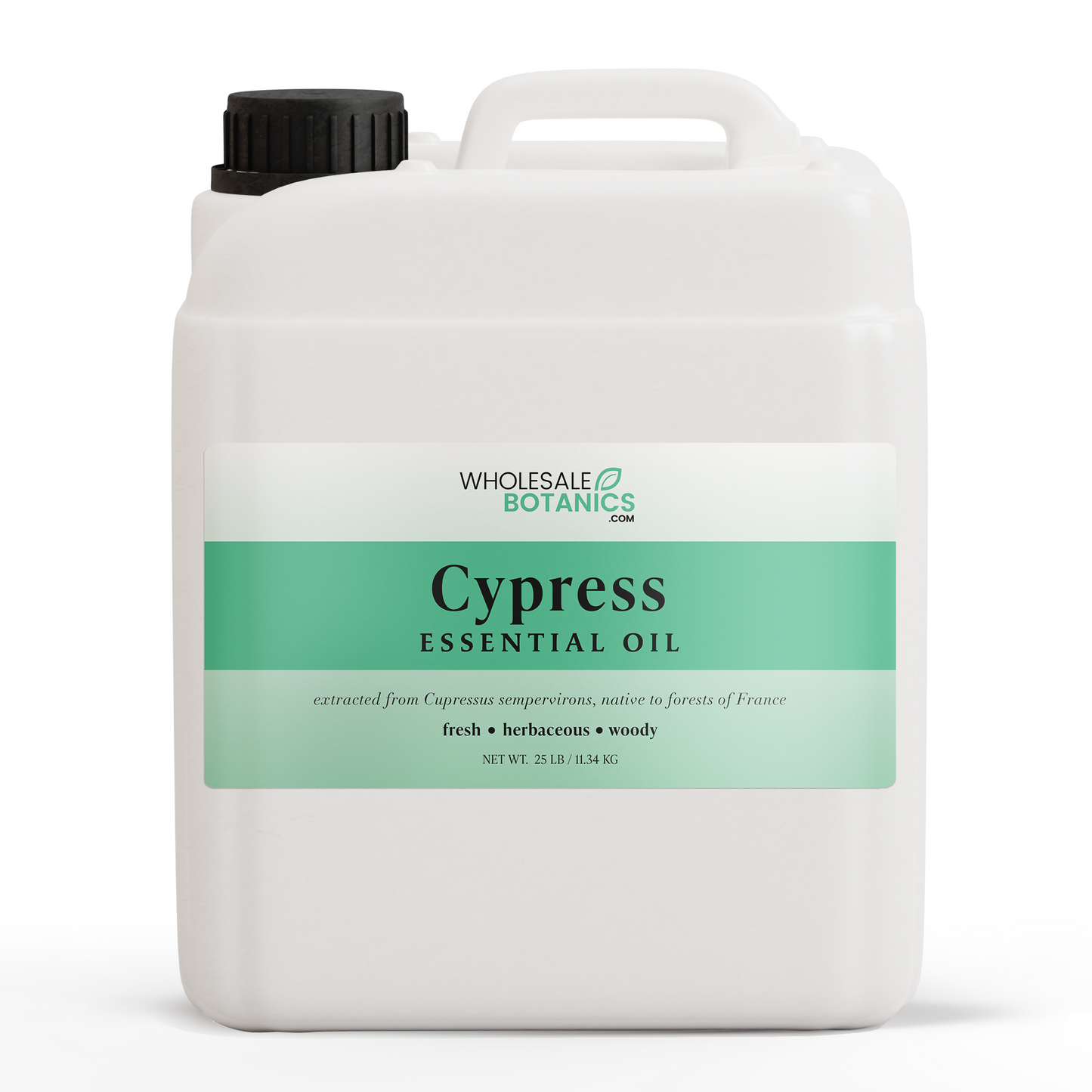Cypress Essential Oil