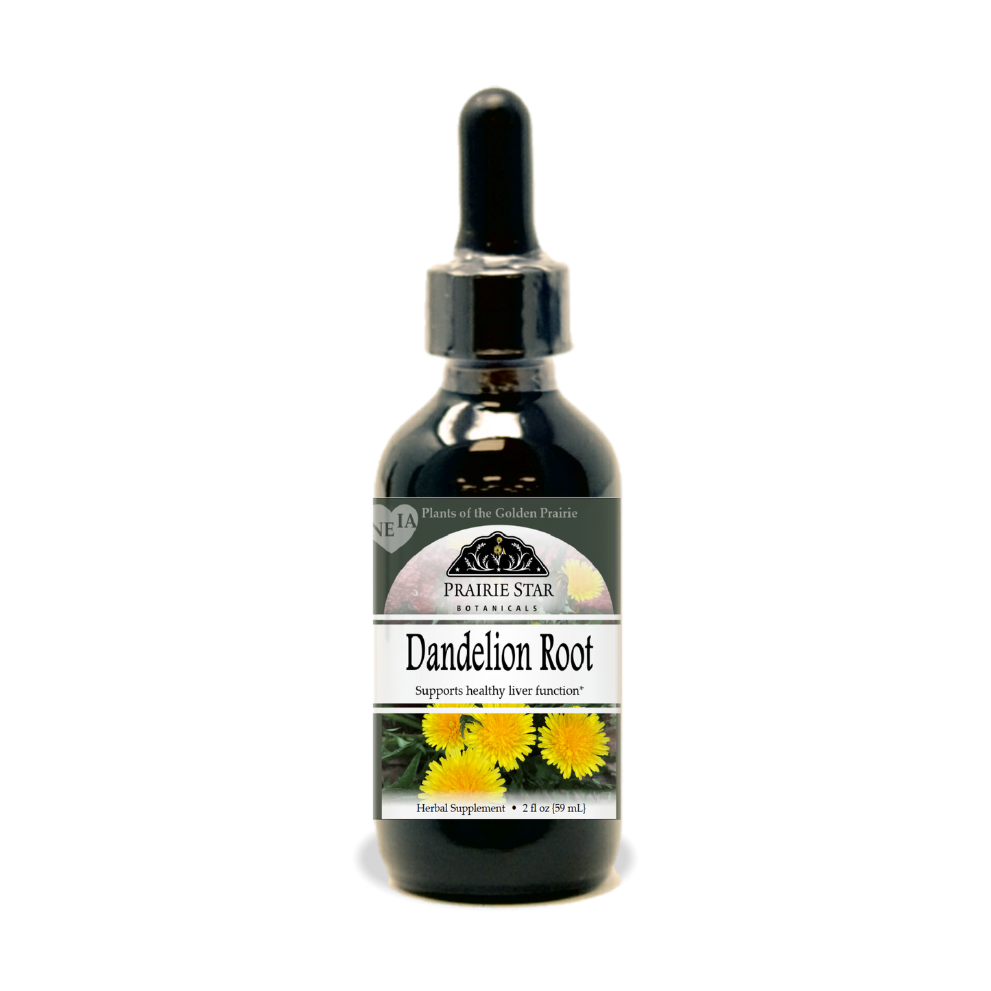 Dandelion