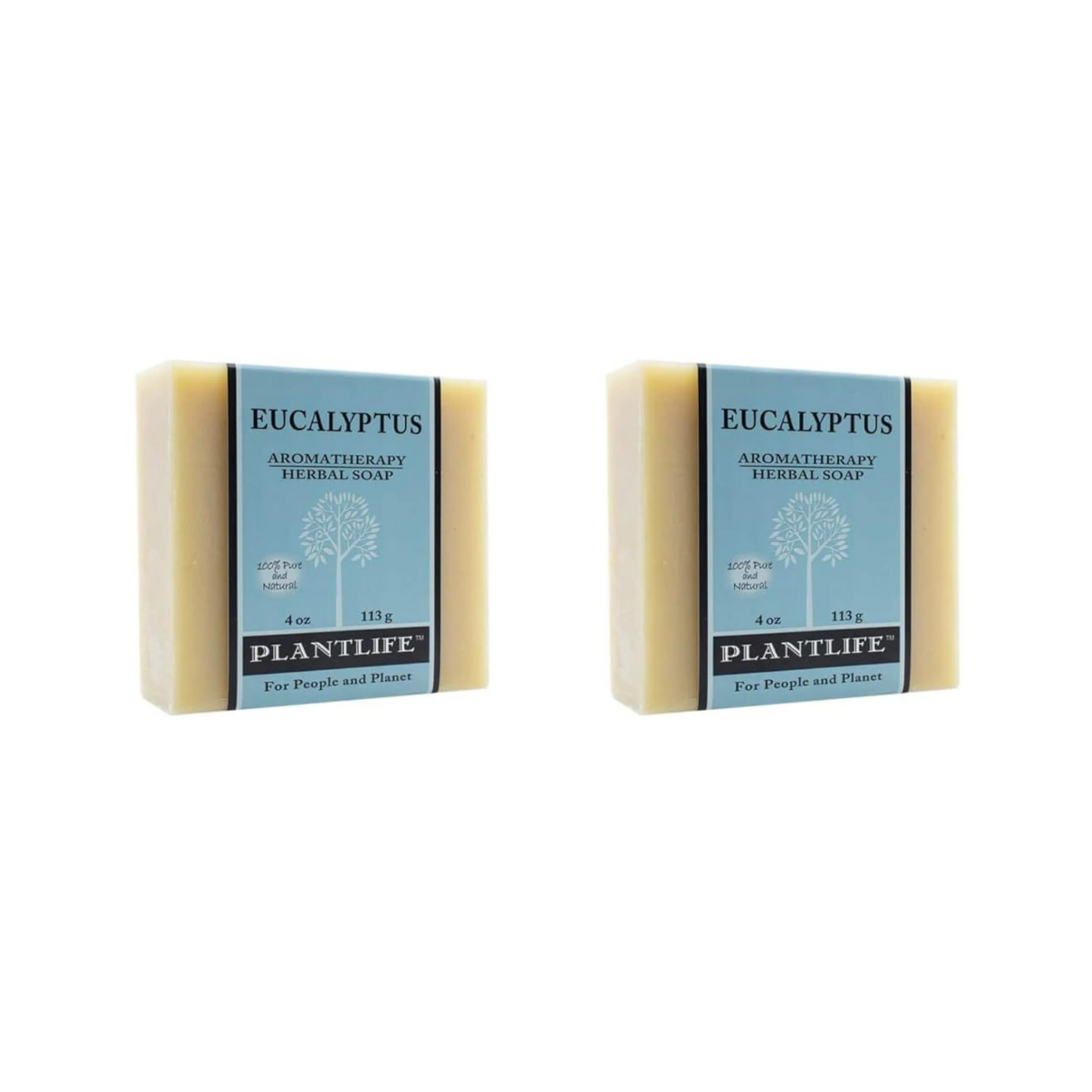Eucalyptus Bar Soap